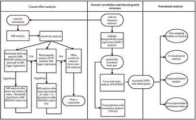 Shared Genetics and Causality Between Decaffeinated Coffee Consumption and Neuropsychiatric Diseases: A Large-Scale Genome-Wide Cross-Trait Analysis and Mendelian Randomization Analysis